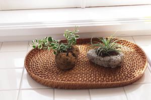 個性的なインテリアを実現するためのヴィンテージ家具選びのポイントとおすすめアイテムガイド