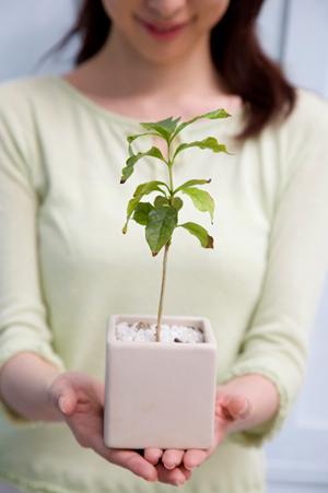 北海道札幌市のタカラスタンダードショールームの全貌とご案内