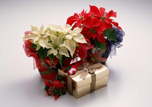 ブランド家具買取依頼と見積もり