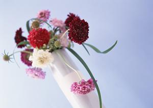 オリエンタルな魅力溢れる絨毯をお探しの方へ。高品質ギャッベが揃う通販サイトを徹底解説！