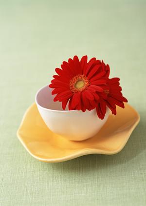 かためのマットレスで得られる心地よさ