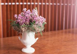 大阪HDCショールーム|タカラスタンダードの最新見学情報と特徴解説