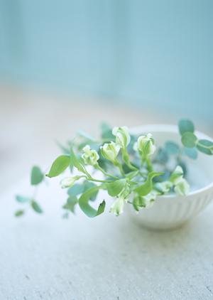 オーダーメイド家具を製作する家具工房